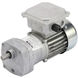 Gear Motors