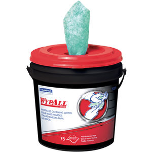 Hand and Body Cleaning Wipes Hand and Body Cleaning Wipes