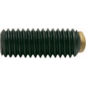 Brass Tip Set Screws - China Nylon Tipped Set Screw, Plastic Tip