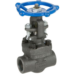 3 4 Forged Carbon Steel Class 800 Threaded End Sharpe Gate Valve Fastenal